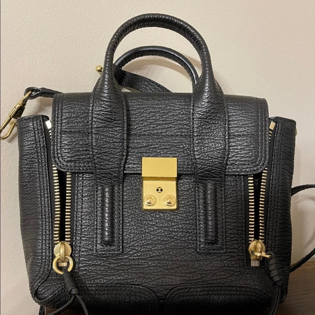 Pashli Mini Satchel